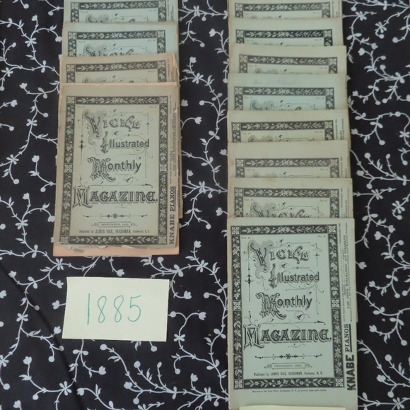 Vick's Illustrated Monthly Magazine  Lot x 33 1800s - Picture 3 of 12
